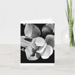 Carolina Magnolia - Leere Faltkarte Karte