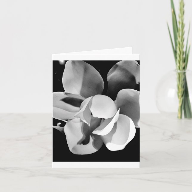 Carolina Magnolia - Leere Faltkarte Karte (Vorderseite)