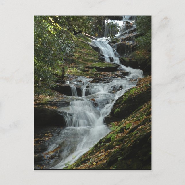 Carolina Mountain Waterfall Photo Carte postale 2 (Devant)