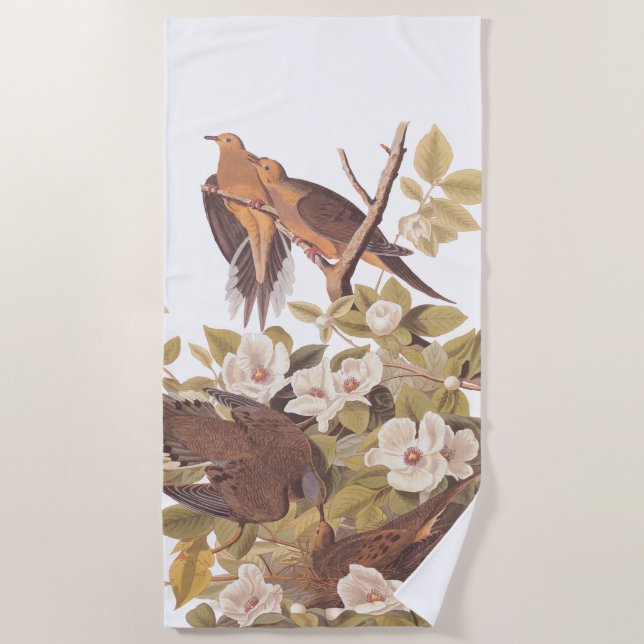 Carolina Mourning Dove Strandtuch (Vorderseite)
