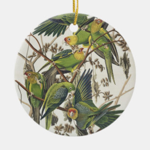 Carolina Parakeet, aus "Birds of America", 1829 Keramikornament