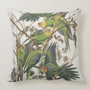Carolina Parakeet, aus "Birds of America", 1829 Kissen
