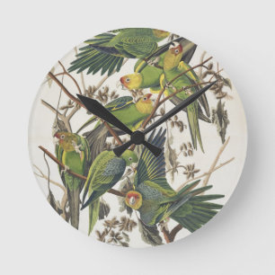 Carolina Parakeet, aus "Birds of America", 1829 Runde Wanduhr