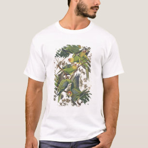 Carolina Parakeet, aus "Birds of America", 1829 T-Shirt
