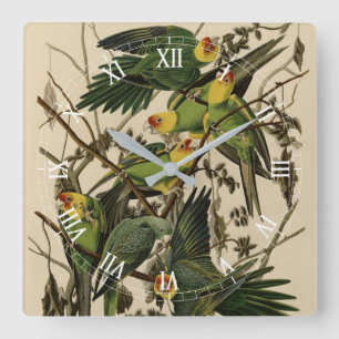 Carolina Parrot from Audubon's Birds of America Quadratische Wanduhr