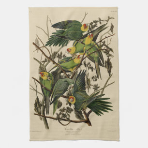 Carolina Parrot von Audubons Vögeln von Amerika Geschirrtuch