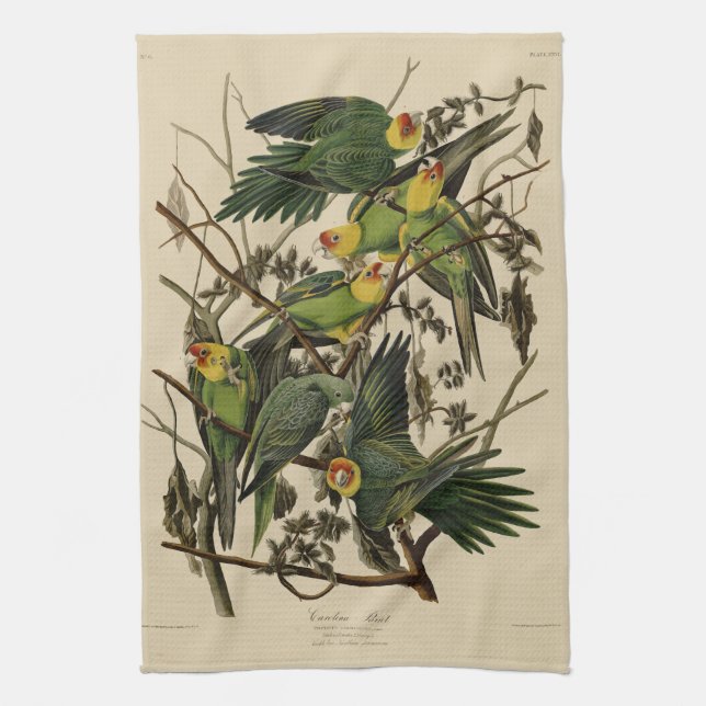 Carolina Parrot von Audubons Vögeln von Amerika Geschirrtuch (Vertikal)
