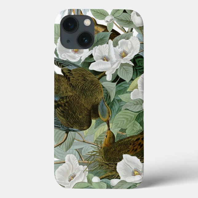 Carolina Pigeon Audubon Morning Dove Case-Mate iPhone Hülle (Rückseite)