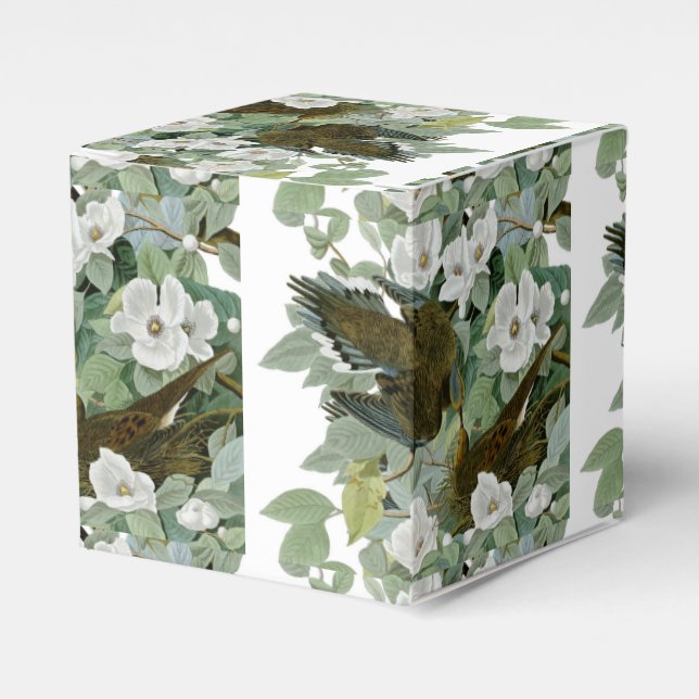 Carolina Pigeon Audubon Morning Dove Geschenkschachtel (Vorderseite)