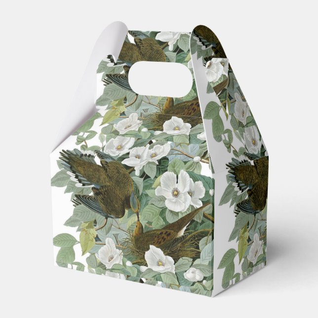 Carolina Pigeon Audubon Morning Dove Geschenkschachtel (Vorderseite)