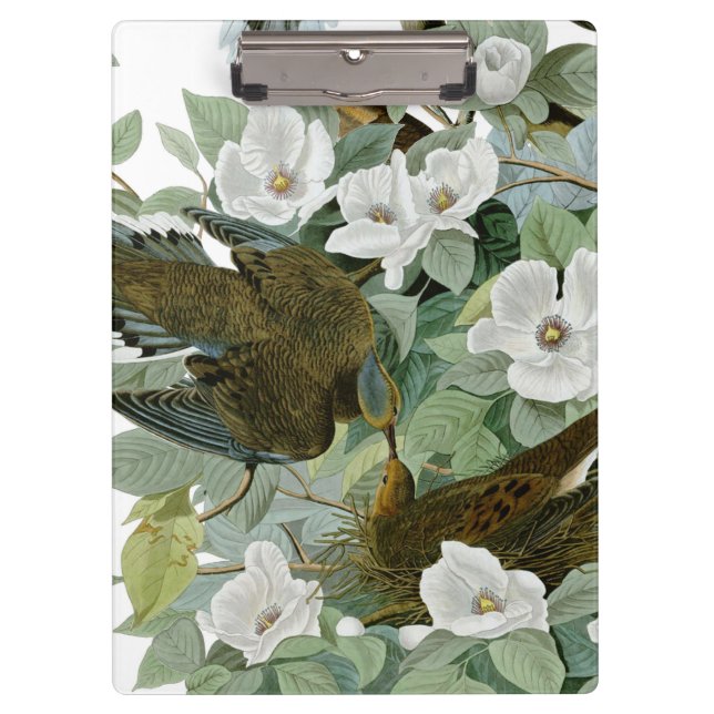 Carolina Pigeon Audubon Morning Dove Klemmbrett (Vorderseite)