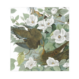 Carolina Pigeon Audubon Morning Dove Notizblock