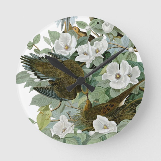 Carolina Pigeon Audubon Morning Dove Runde Wanduhr (Vorderseite)