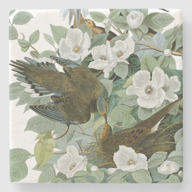 Carolina Pigeon Audubon Morning Dove Steinuntersetzer (Vorderseite)