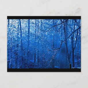 Carolina Postkarte