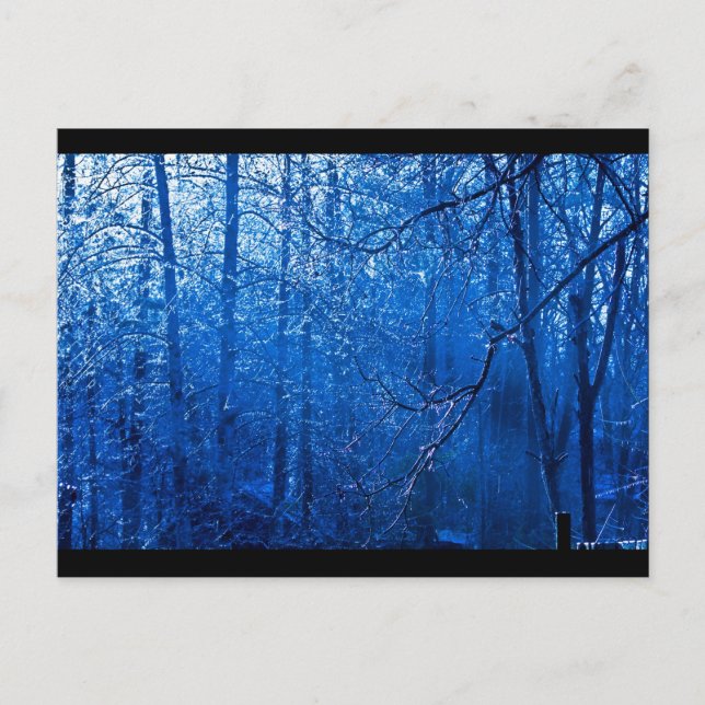 Carolina Postkarte (Vorderseite)
