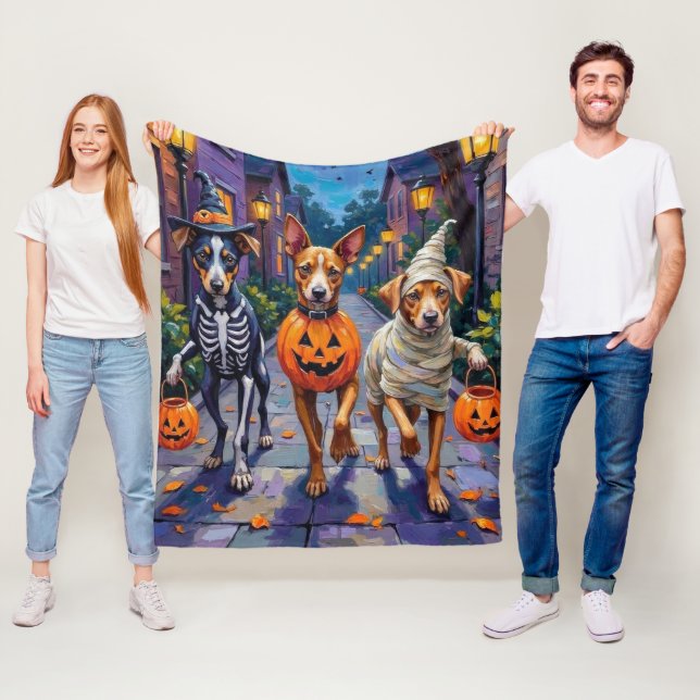 Carolina Trick-or-Treating in Halloween-Kostüm Fleecedecke (Beispiel)