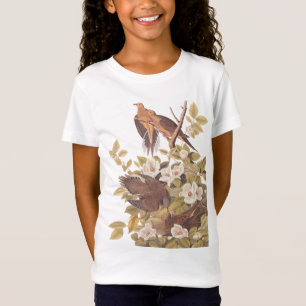 Carolina Turtle Dove Girl's T - Shirt