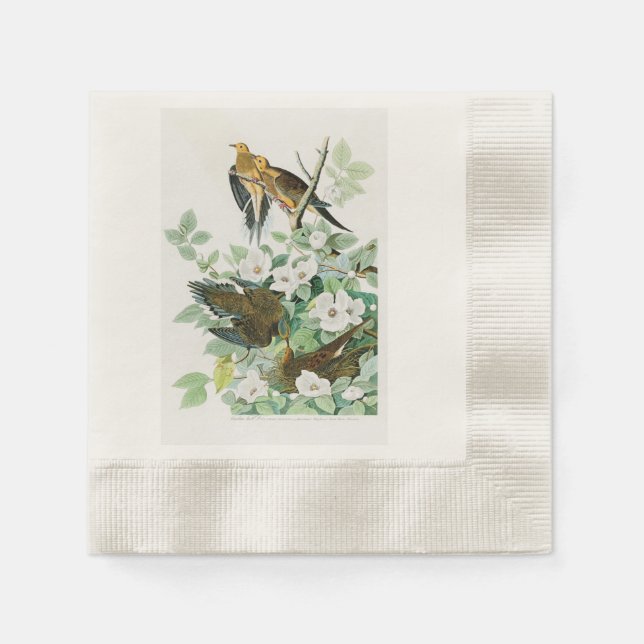 Carolina Turtle Dove John Audubon Birds of America Serviette (Vorderseite)