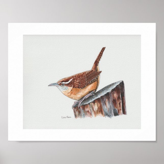 Carolina Wren Art Print Poster (Vorne)