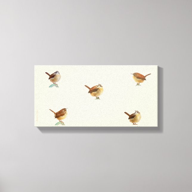 Carolina Wren Canvas Print Leinwanddruck (Vorderseite)
