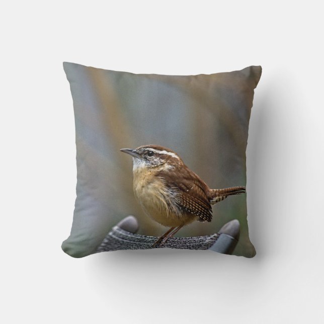 Carolina Wren Kissen (Vorderseite)