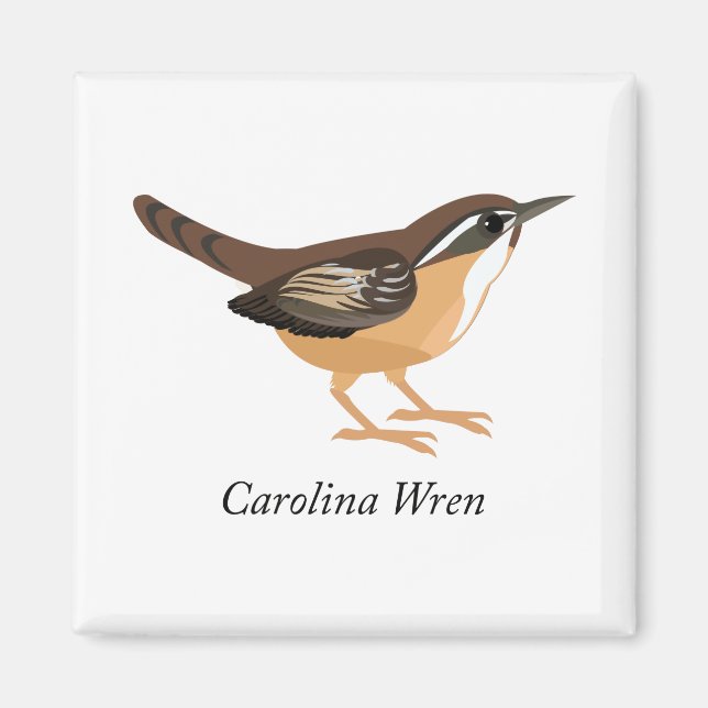 Carolina Wren Magnet (Vorne)