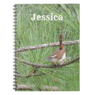 Carolina Wren, Pine Tree Notizblock