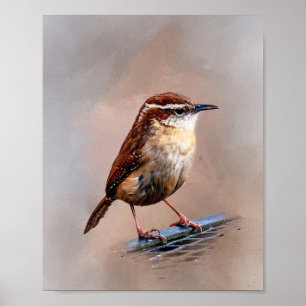 Carolina Wren Poster