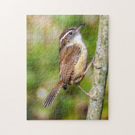 Carolina-Wren-Puzzle