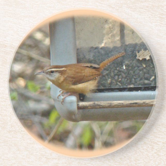 Carolina Wren Untersetzer (Vorne)