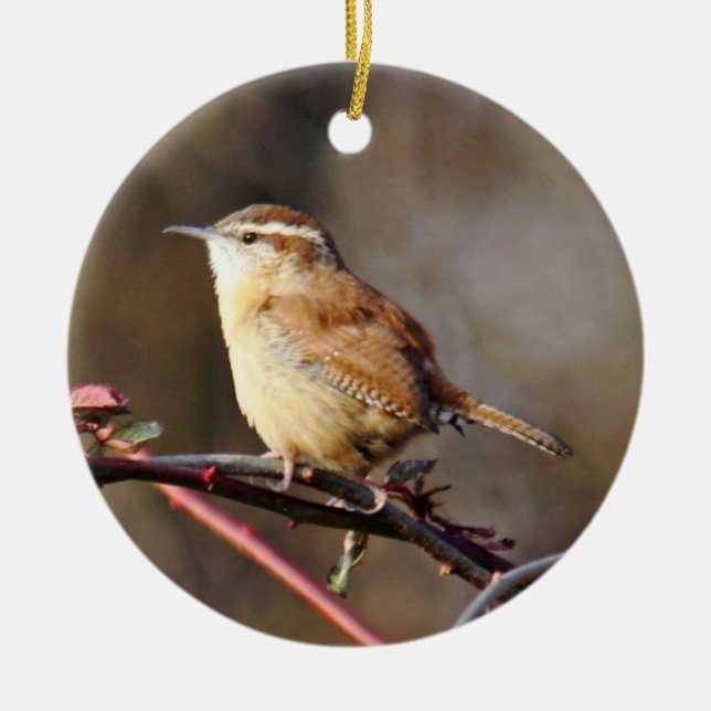 Carolina-Zaunkönig-Verzierung Keramik Ornament (Vorne)