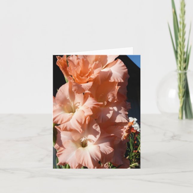 Carols Gladiola Beileids-Karte Karte (Vorderseite)