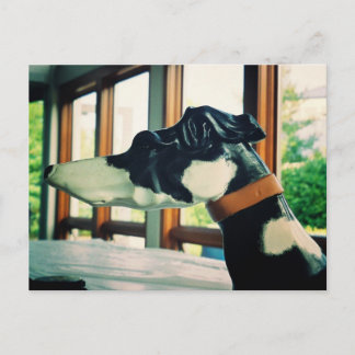 Carousel Dog Postkarte