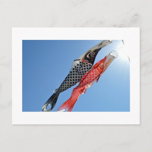 Carp Streamers (Koinobori): Tokio, Japan Postkarte (Vorderseite)