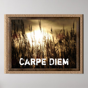 Carpe Diem - Art Poster Print