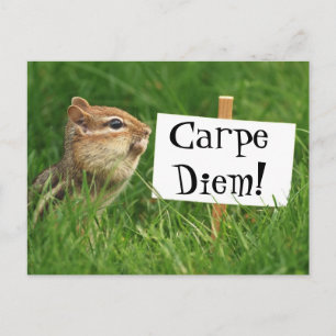 Carpe Diem! Chipmunk mit Zeichen Postkarte