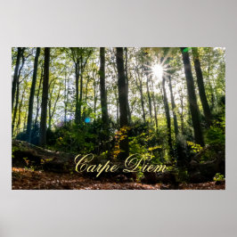 Carpe Diem glänzende, farbenfrohe Blätter Wald Son Poster