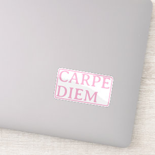 Carpe Diem lateinischer Zitat-Aufkleber Aufkleber