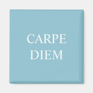 Carpe Diem Latin Citation Magnet - Turquoise