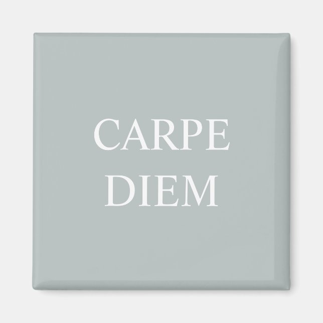 Carpe Diem Latin Quote Magnet (Vorne)