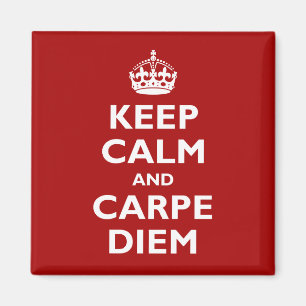 Carpe Diem! Magnet