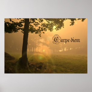 Carpe diem Plakat