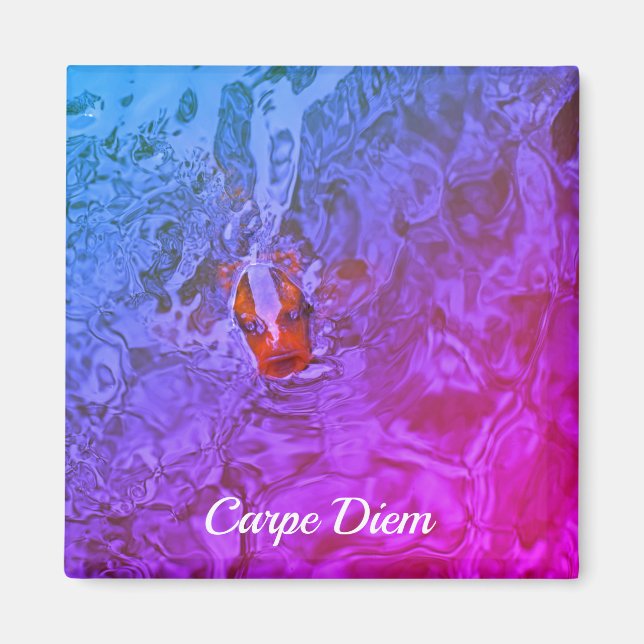 Carpe Diem Pond Fish Fish Foto Magnet (Vorne)