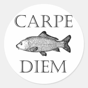 Carpe Diem Seize the Day Carp Fisch Procrastinator Runder Aufkleber