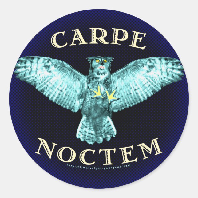 Carpe Noctem Runder Aufkleber (Vorderseite)