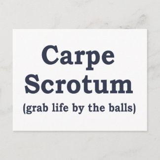 Carpe Skrotum Postkarte