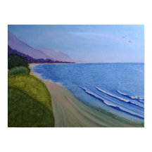 Carpenteria Coast