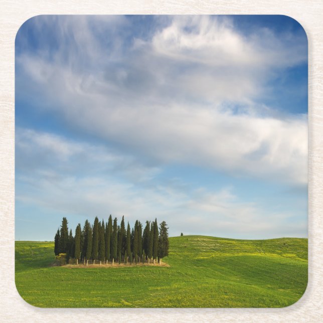 Carré Arbres de Cypress dans des dessous de verre de la (Devant)