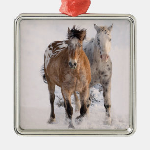 Carré Argenté Deux Appaloosas Ornement Cheval